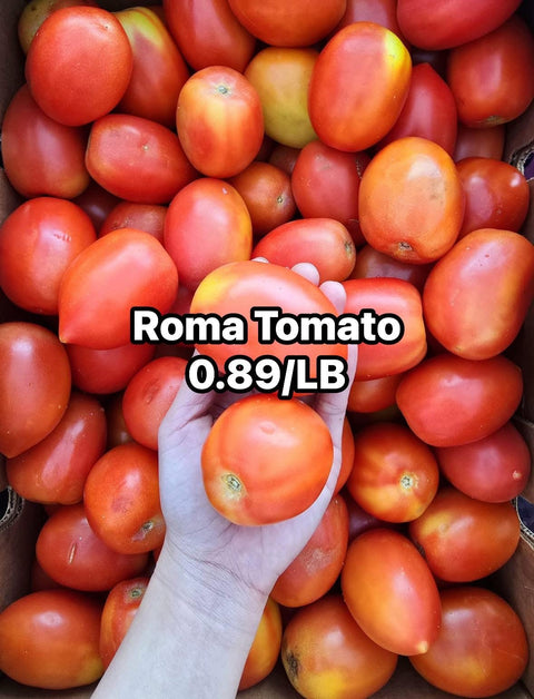 Tomato Roma (Promo) (LB)