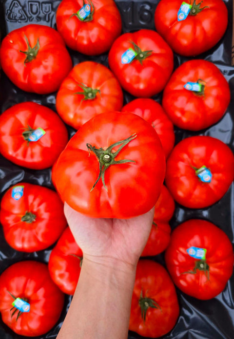 Beefsteak Tomato (Promo) (LB)
