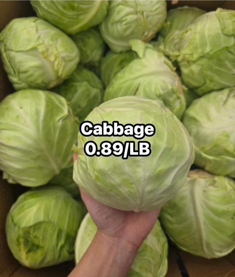 Cabbage Green (PROMO) (LB)
