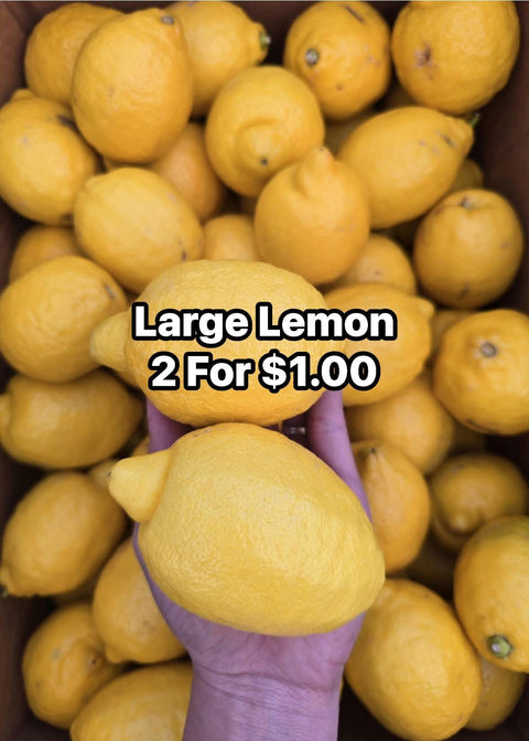Lemon Large (Promo) (EA)