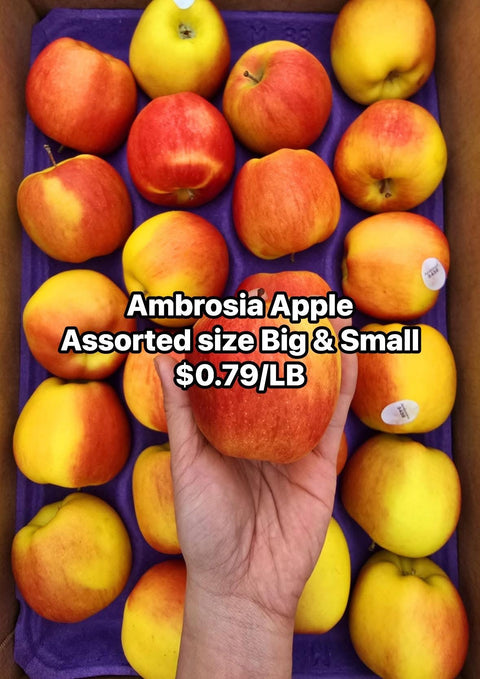 Apple Ambrosia 40LB (Case) (Promo)