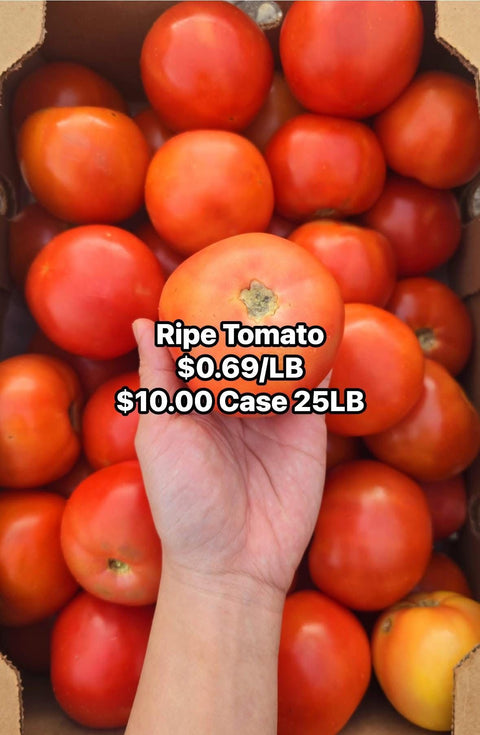 Ripe Tomato Round (Second Chance) (LB)