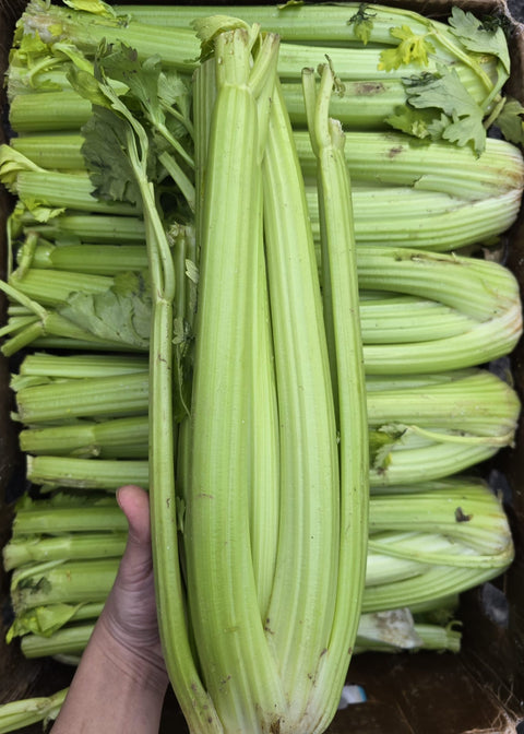 Imperfect Celery (PROMO) (EA)