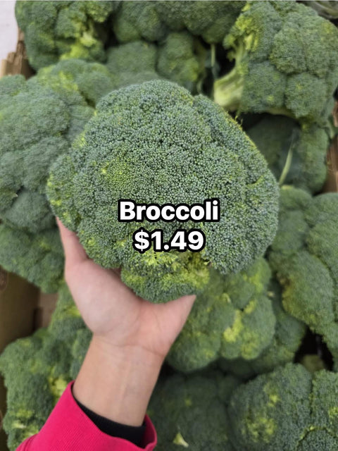 Broccoli (PROMO) (LB)