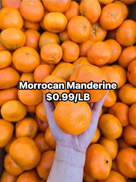 Morrocan Manderine (Promo)