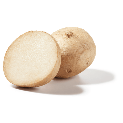 Jicama (LB) - Producecart