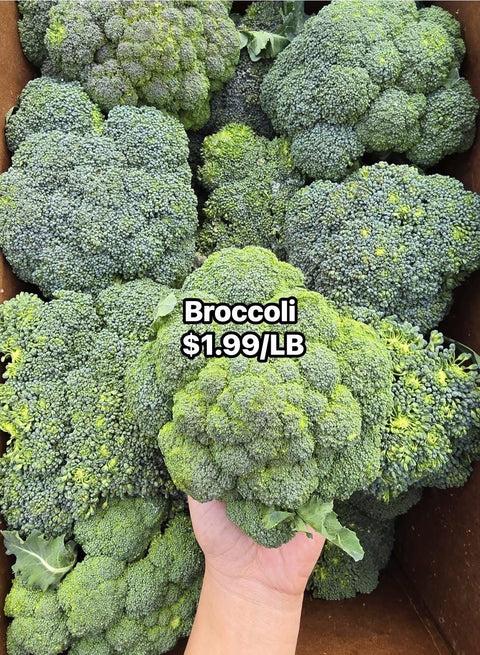 Broccoli (PROMO) (LB)