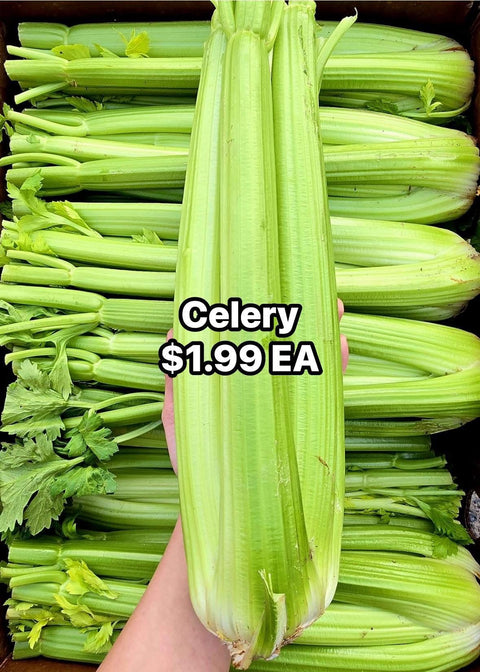 Celery (PROMO) (EA)