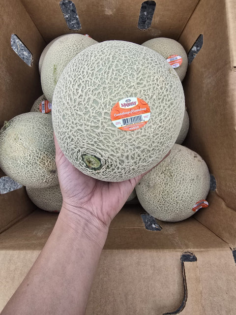 Cantaloupe (Promo)(Case)