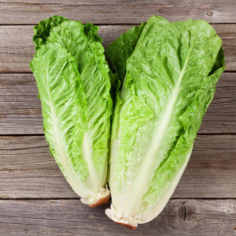 Romaine Lettuce Green (EA)