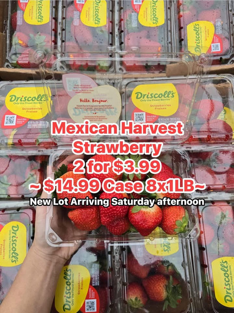 Strawberry 1LB (Driscoll’s) (CLAMSHELL)