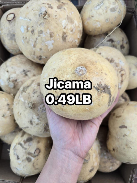 Imperfect Jicama (PROMO) (LB)