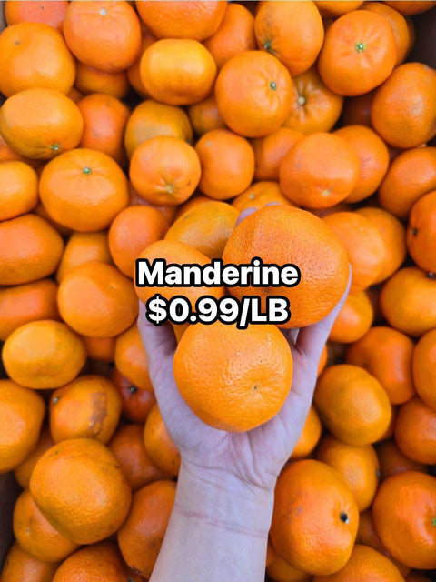 Mandarine (PROMO) (LB)