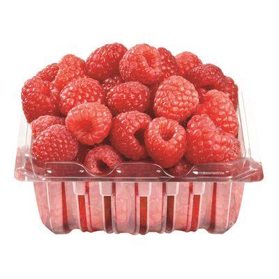 Raspberry 6oz Pint (EA) (No.1 Grade) - Producecart