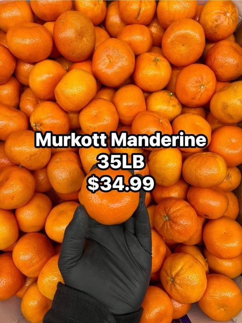 Murkott Manderine Case 35LB (CaseLot) - Producecart