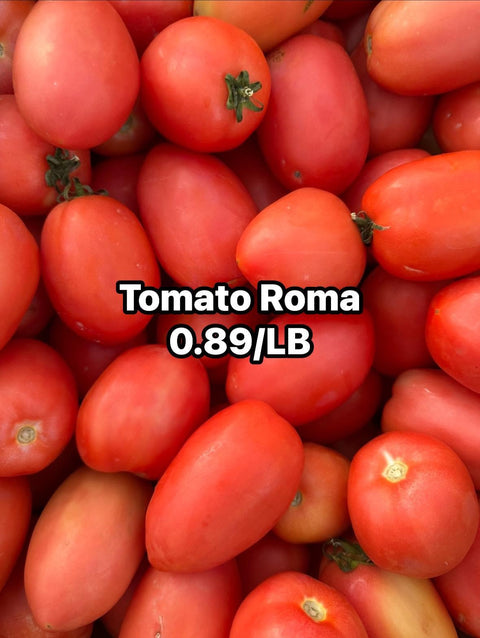 Tomato Roma (Promo)