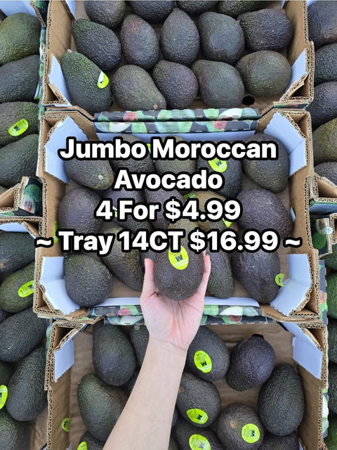 Avocado Jumbo Morrocan (EA)(Promo)