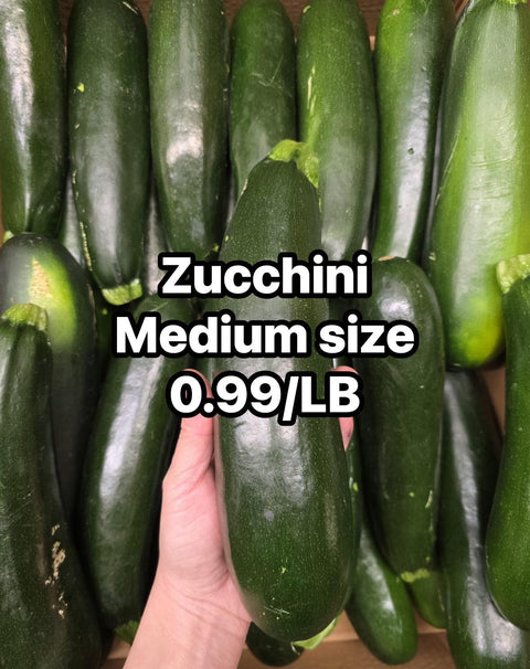 Zucchini Medium (PROMO) (LB)