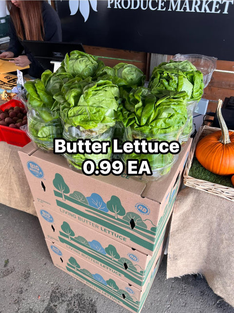 Butter Lettuce (PROMO) (EA)