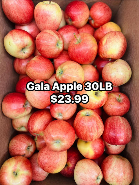 Apple Gala 30LB (Case) (Promo)