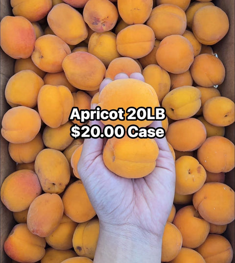 Apricott 20LB (Caselot)