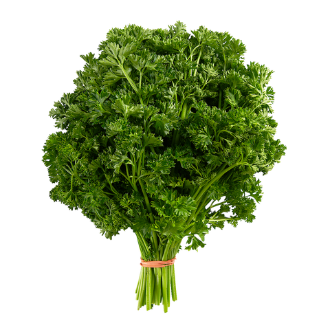 Parsley Curly