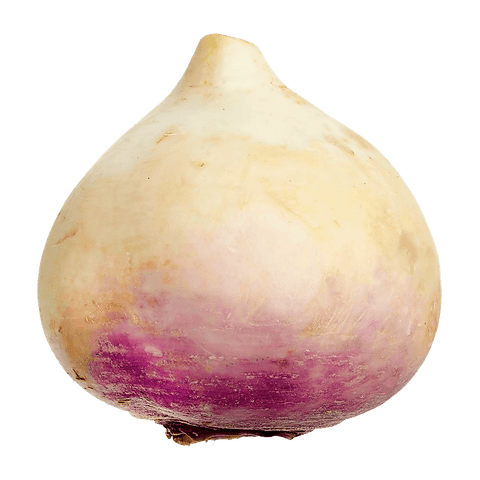 Turnip (LB) (No.1 Grade) - Producecart