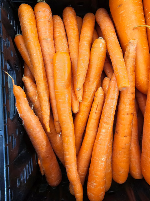 Snaptop Carrot