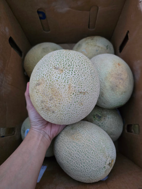 Cantaloupe (2nd Chance Produce)(EA)