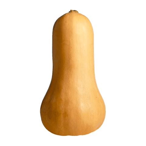 Squash Butternut (LB) (No.1 Grade) - Producecart