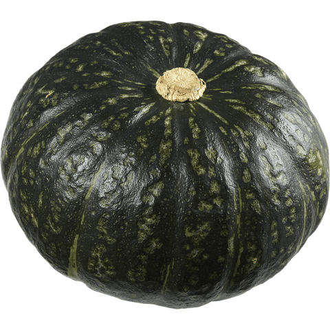 Squash Kabocha (LB) (No.1 Grade) - Producecart