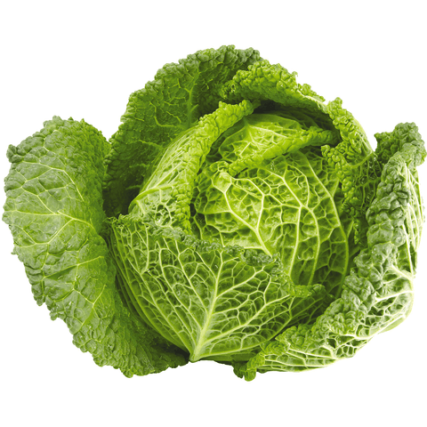 Cabbage Savoy (LB) (No.1 Grade) - Producecart