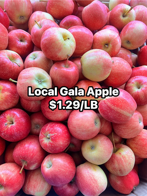 Local Gala Apple (Promo)