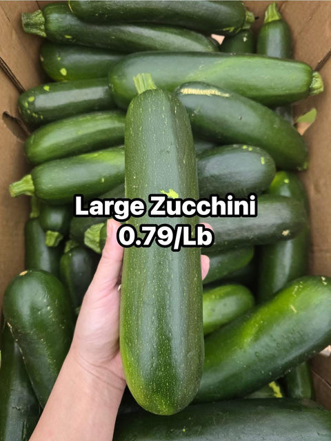 Zucchini Large  (PROMO) (LB)