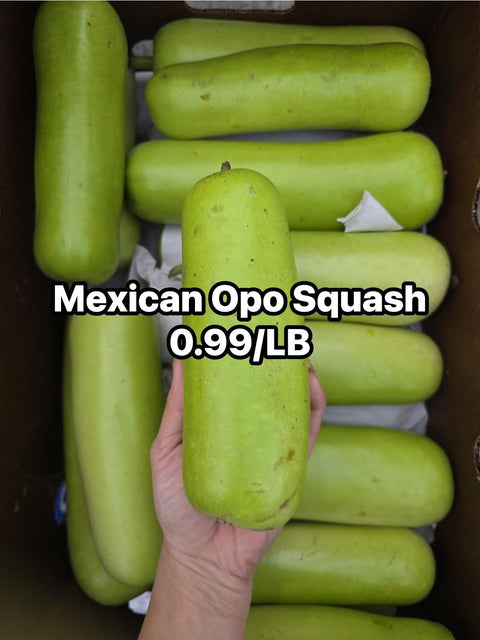 Imperfect Opo Squash (PROMO)(LB)