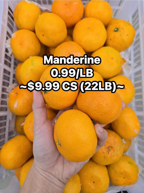 Manderine 22LB (Caselot) (Promo)