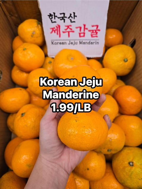 Korean Jeju Manderine