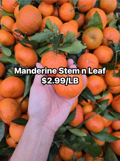 Mandarin (STEM & LEAF) (LB)