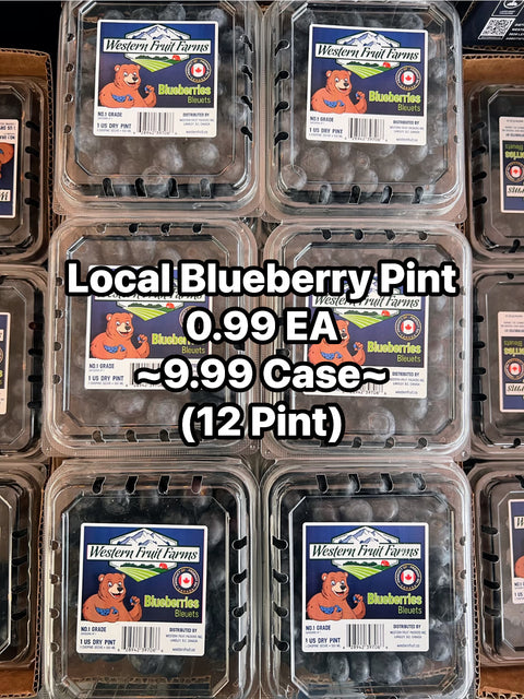 Blueberry (PROMO)