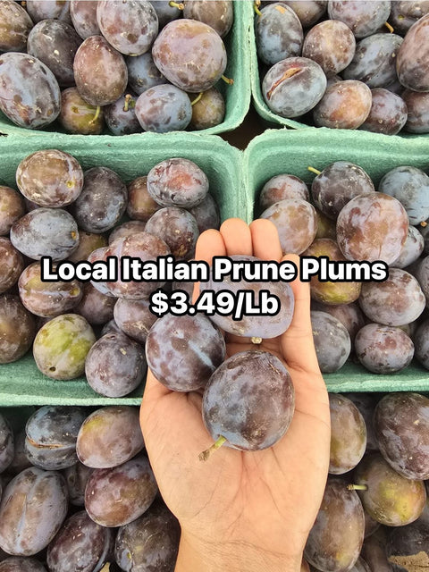 Local Prune Plums 20LB Case (CaseLot)