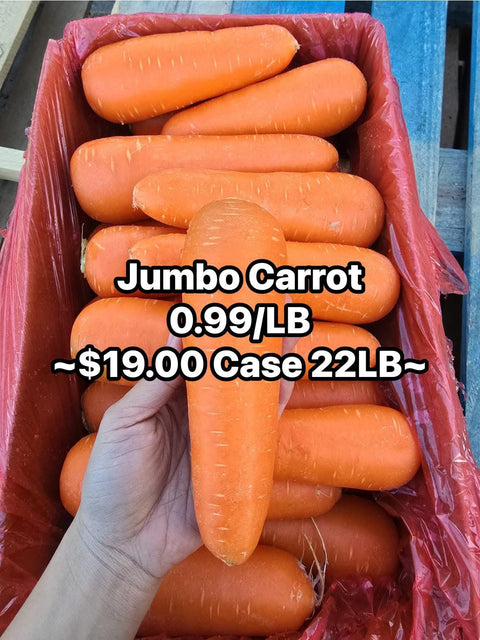 Carrot Jumbo (Promo) (LB)