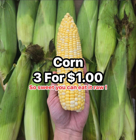 Corn (Promo) (EA)
