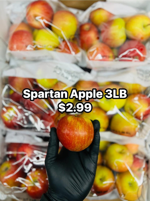 Apple Spartan 3LB