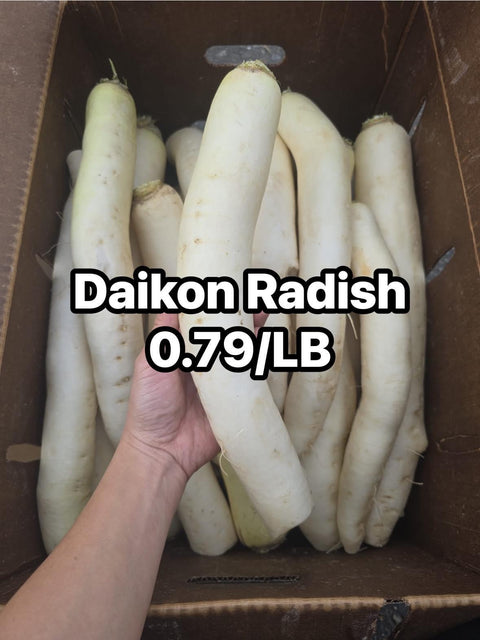 Diakon Radish (Promo)