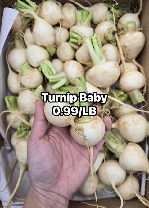 Turnip Baby (PROMO)(LB)