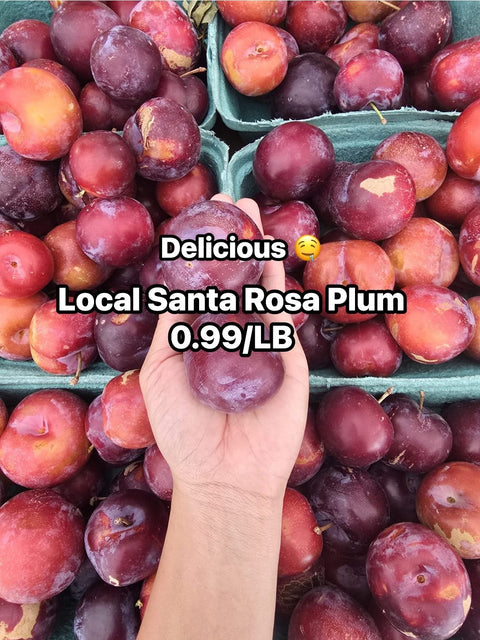 Santa Rosa Plum 20LB Case (PROMO)