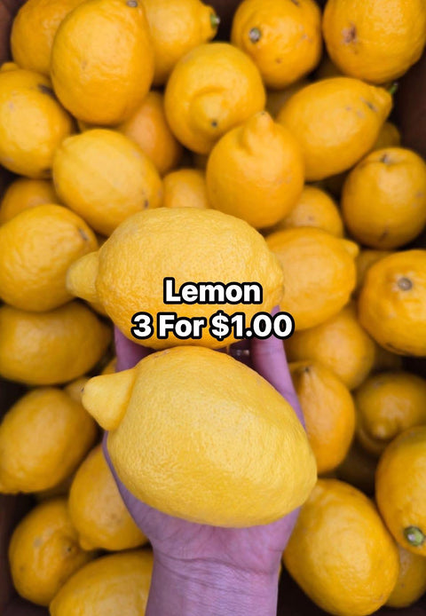 Lemon (Promo) (EA)