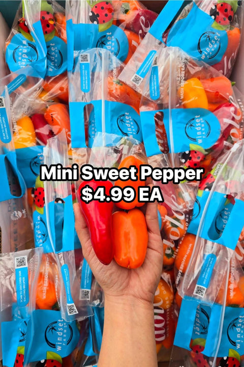 Mini Sweet Pepper (Promo)(Ea)