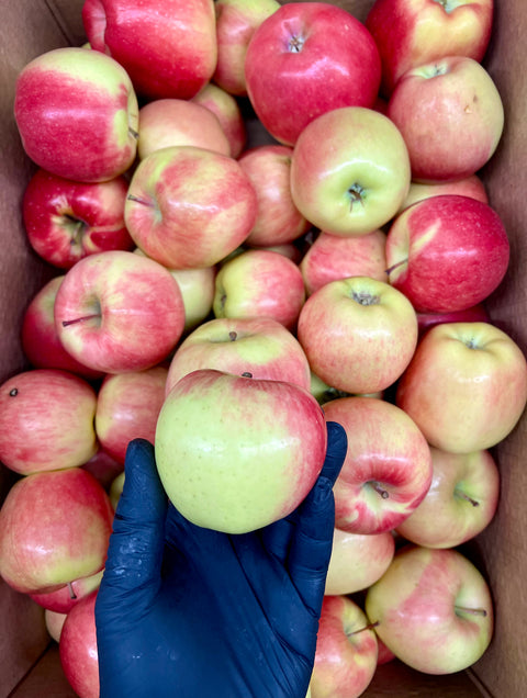 Apple Ambrosia 30LB (Case) (Promo)