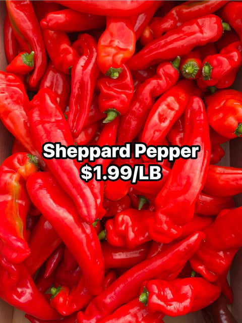 Sheppard Pepper (PROMO) (LB)